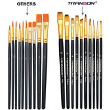Transon 20pcs Art Painting Brush Set with Acrylic Paint Set 12-Color TRANSON