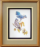 DSC Blue Jay Birds Paper Tole 3D Decoupage Craft Kit Size 8x10 inches 8062 (The Additional Pictures Show This Craft Kit Framed in a Shadow Box Frame) DSC