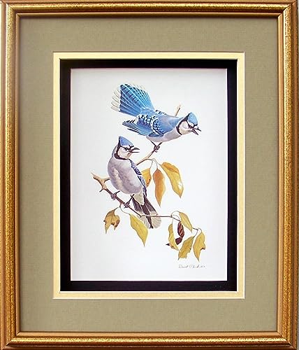 DSC Blue Jay Birds Paper Tole 3D Decoupage Craft Kit Size 8x10 inches 8062 (The Additional Pictures Show This Craft Kit Framed in a Shadow Box Frame) - WoodArtSupply