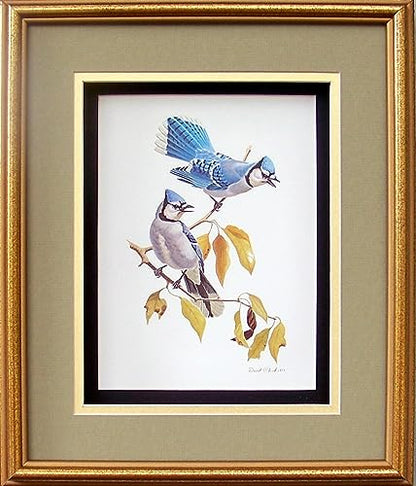 DSC Blue Jay Birds Paper Tole 3D Decoupage Craft Kit Size 8x10 inches 8062 (The Additional Pictures Show This Craft Kit Framed in a Shadow Box Frame) - WoodArtSupply