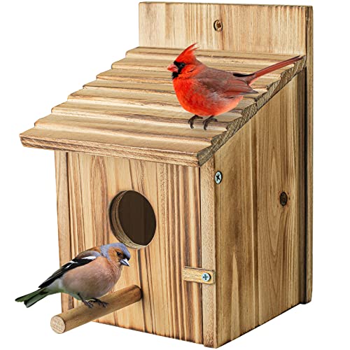 Wood Bird Houses for Outside with Pole Wooden Bird House for Finch Bluebird Cardinals Hanging Birdhouse Clearance Garden Country Cottages - WoodArtSupply