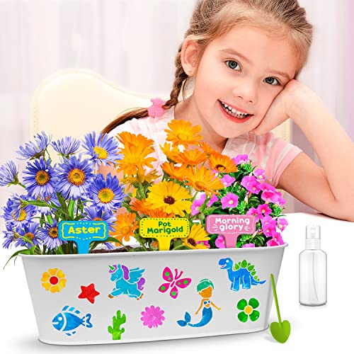 Learn & Climb Arts and Crafts for Kids Ages 6-12, Plant and Decorate Your Own Flower Garden, Kit Includes All Supplies & Instructions, Best Craft - WoodArtSupply