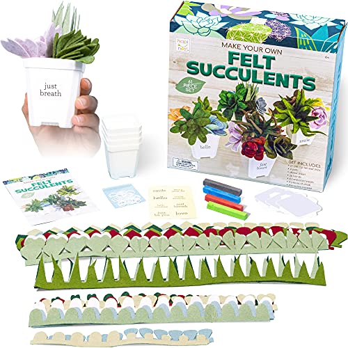 Hapinest Make Your Own Potted Felt Succulents | DIY Arts and Crafts Kit for Adults, Teens and Kids Girls Ages 6 7 8 9 10 11 12 Years Old and Up | Art
