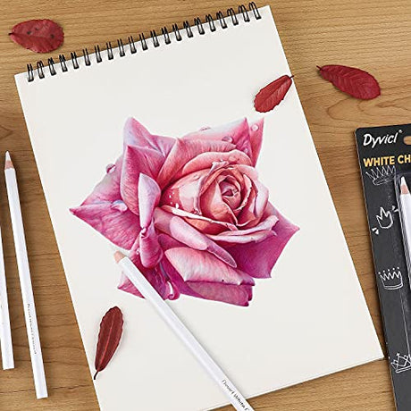 Dyvicl White Charcoal Pencils Drawing Set, 6 Pcs Sketch Highlight Pencil Hard Charcoal White Pencils for Drawing, Sketching, Shading, Blending Dyvicl
