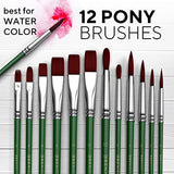 40 Pieces Professional Artist Paint Brush Set with Storage Case - Includes Round and Flat Art Brushes with Hog, Pony, Nylon Hair Bristles - Perfect Benicci