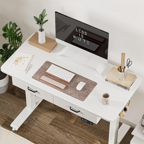 BANTI 48'' Adjustable Height Electric Standing Desk with Double Drawer, Stand Up Home Office Desk with Splice Tabletop, White BANTI