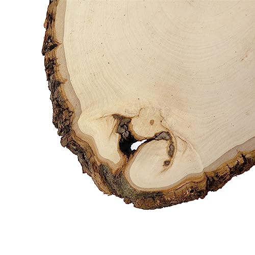 Walnut Hollow Rustic Basswood Round, Medium 7-9" Wide with Live Edge Wood (Pack of 3) - for Wood Burning, Home Décor, and Rustic Weddings - WoodArtSupply