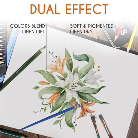 Zenacolor Professional Watercolor Pencils, Set of 72, Metal Box with Brush - Drawing Set for Coloring, Blending and Layering Books, Adult or Kids Zenacolor