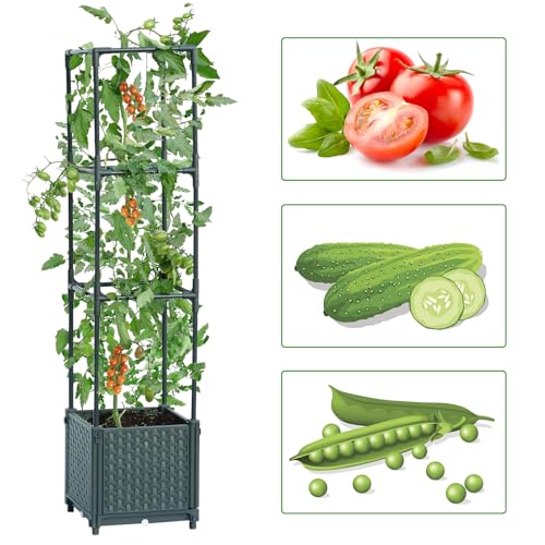 LINEX Raised Garden Bed Planter Box with Trellis, 41.3” Tomato Planters for Climbing Plants Vegetable Vine Flowers Outdoor Patio, Tomatoes Cage - WoodArtSupply