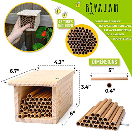 Rivajam Build a Bee House DIY Woodworking Project | Solitary Mason Bee House Nesting Box Wood Building Kit & Tools | Garden Arts & Crafts Activities Rivajam