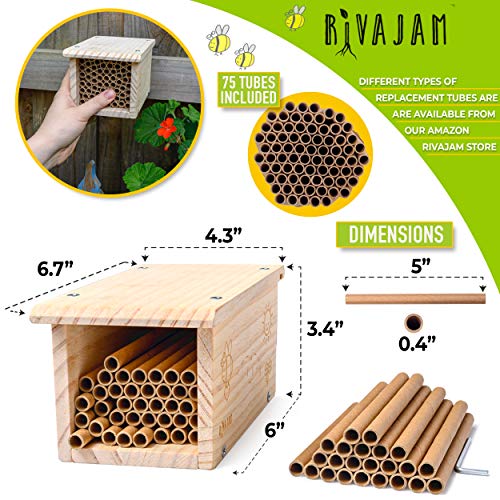 Rivajam Build a Bee House DIY Woodworking Project | Solitary Mason Bee House Nesting Box Wood Building Kit & Tools | Garden Arts & Crafts Activities - WoodArtSupply