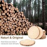 Philorn Natural Wood Slices for Centerpieces 10 Pcs 5.1-5.5 inch Unfinished Wood Rounds with Bark Wooden Circles for Crafts, Tree Slices for DIY Arts Philorn