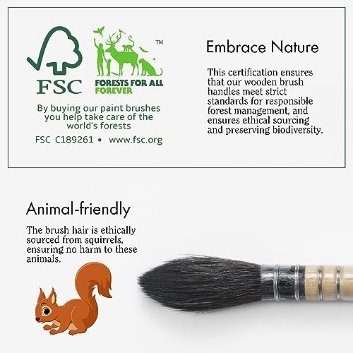  ARTIFY Professional Natural Squirrel Hair Quill Watercolor  Brushes, Mop Round Fine Tip Watercolor Paint Brush for Large Strokes  Smudging