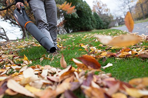 WEN Cordless Electric Leaf Blower, Brushless with 40V Max 2Ah Battery and Charger (40410), Black - WoodArtSupply