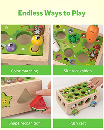 Coogam Montessori Fine Motor Toys for Baby Toddler, Wooden Shape Sorter Carrot Harvest Game, Preschool Learning Educational Gift Toy for 3 4 5 Year Coogam