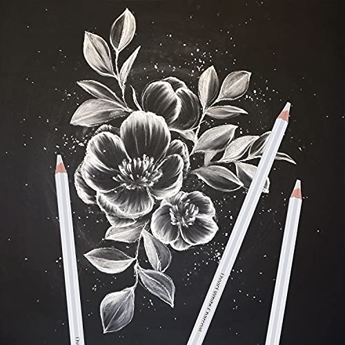 Dyvicl White Charcoal Pencils Drawing Set, 6 Pcs Sketch Highlight Pencil Hard Charcoal White Pencils for Drawing, Sketching, Shading, Blending Dyvicl