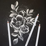 Dyvicl White Charcoal Pencils Drawing Set, 6 Pcs Sketch Highlight Pencil Hard Charcoal White Pencils for Drawing, Sketching, Shading, Blending Dyvicl