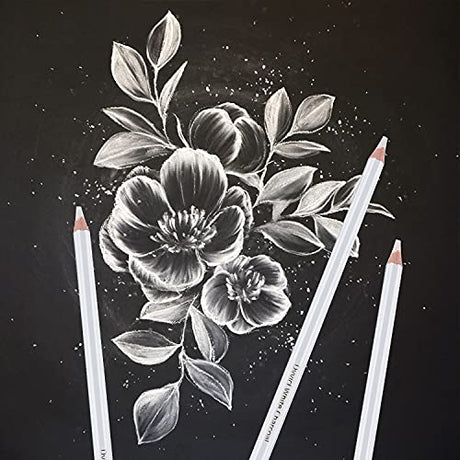 Dyvicl White Charcoal Pencils Drawing Set, 6 Pcs Sketch Highlight Pencil Hard Charcoal White Pencils for Drawing, Sketching, Shading, Blending Dyvicl