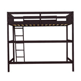 Majnesvon Espresso Twin Loft Bed with Ladder & Storage Shelves for Space-Saving Elegance Majnesvon