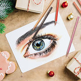 MARTCOLOR Skin Tone Colored Pencils for Portraits and Skintone Artists, 24 Colors Oil Color Pencils for Drawing, Sketching, Adult Coloring, Shading, MARTCOLOR