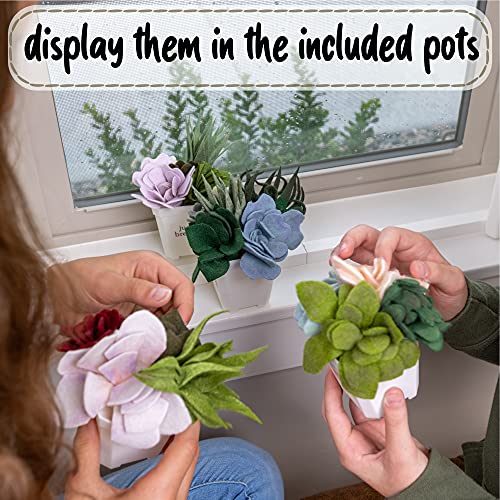 Hapinest Make Your Own Potted Felt Succulents | DIY Arts and Crafts Kit for Adults, Teens and Kids Girls Ages 6 7 8 9 10 11 12 Years Old and Up | Art Hapinest