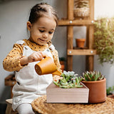 8 Pack Unfinished Wooden Box, 6 x 6 Inch Square Rustic Small Wooden Box Craft Organizer Container Box for Storage, Home Decor, Art Collectibles, Aweyka