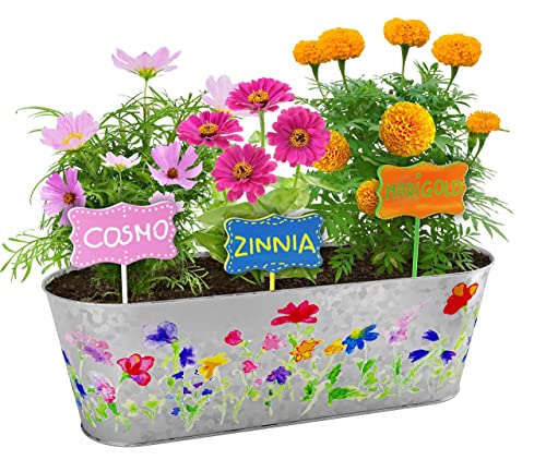 Paint & Plant Flower Growing Kit for Kids - Best Birthday Crafts Gifts for Girls & Boys Age 5 6 7 8-12 Year Old Girl Gift Ideas - Fun Children Dan&Darci