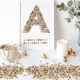 Weoxpr 2000 Pcs Tiny Sea Shells for Crafting,Mixed Ocean Beach Mini Seashells Bulk for Home Decorations,Beach Theme Party, Small Shells for Craft, WEOXPR