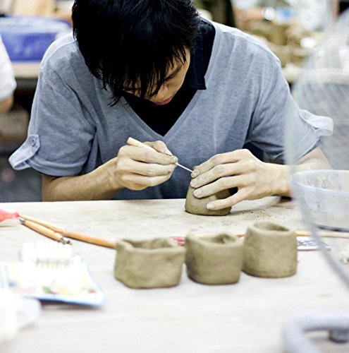 Blisstime Set of 30 Clay Sculpting Tools Wooden Handle Pottery Carving Tool Kit Blisstime