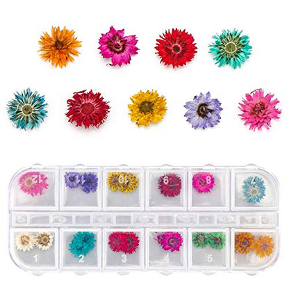 4 Boxes Dried Flowers for Resin, Gartful 48 Styles Natural 3D Applique Flowers DIY Craft Supplies, Resin Epoxy Casting Fillers for Silicone Molds, - WoodArtSupply