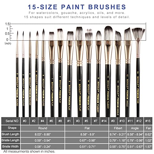 15 Pack Professional Paint Brush Set - Premium Artist Paint Brushes for  Acrylic, Watercolor, Oil, Canvas, Hobby Craft, Fabric Painting, Wide and  Fine