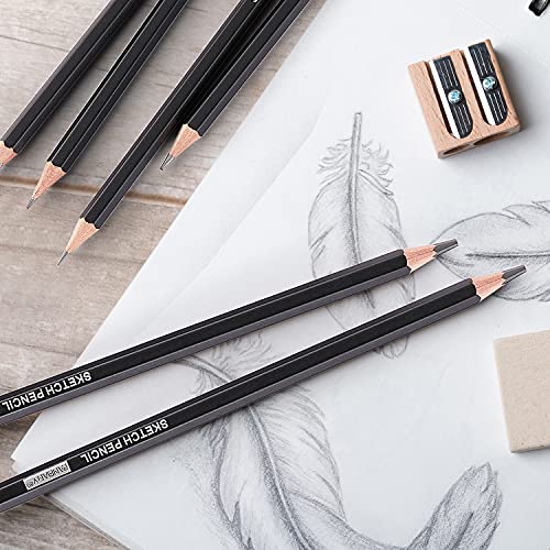 PANDAFLY Professional Drawing Sketching Pencil Set - 12 Pieces Graphite Pencils(14B - 2H), Ideal for Drawing Art, Sketching, Shading, Artist Pencils - WoodArtSupply