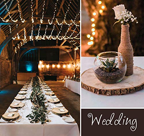 Lemonfilter Natural Wood Slices 8 Pcs 6.3-6.7 Inches Craft Wood Kit Wooden Circles Unfinished Log Wooden Rounds for Arts Crafts Wedding Christmas DIY Lemonfilter