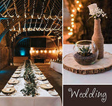 Lemonfilter Natural Wood Slices 8 Pcs 6.3-6.7 Inches Craft Wood Kit Wooden Circles Unfinished Log Wooden Rounds for Arts Crafts Wedding Christmas DIY Lemonfilter