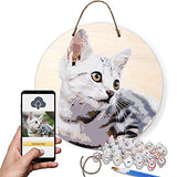 TEXTURE OF DREAMS Personalized Paint by Numbers Kit for Adults, Acrylic Painting Oil Painting on 12" Round & Circle Wood, Customized DIY Paint by TEXTURE OF DREAMS