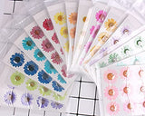 60Pcs White Dried Daisy Pressed Flowers - YouthBro 60Pcs Real Nature Flowers Set for Resin DIY Jewelry Candle Soap Vase Making Nail Card Scrapbook YouthBro