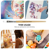 CONDA Paint Brushes Set of 24 Different Shapes Professional Painting Brushes for Oil, Acrylic Canvas and Watercolor Painting (White) conda