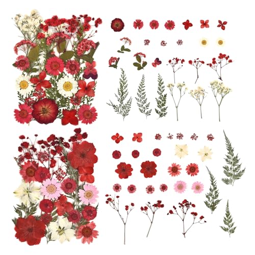 DALARAN 100pcs Red Natural Flowers and Leaves Compressed Dried Flowers for Resin Vacuum Packed DIY Dried Flowers for Epoxy Jewelry Candles Soap Nail DALARAN