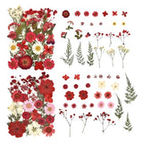 DALARAN 100pcs Red Natural Flowers and Leaves Compressed Dried Flowers for Resin Vacuum Packed DIY Dried Flowers for Epoxy Jewelry Candles Soap Nail DALARAN