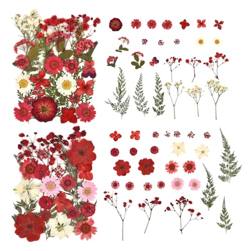 DALARAN 100pcs Red Natural Flowers and Leaves Compressed Dried Flowers for Resin Vacuum Packed DIY Dried Flowers for Epoxy Jewelry Candles Soap Nail - WoodArtSupply