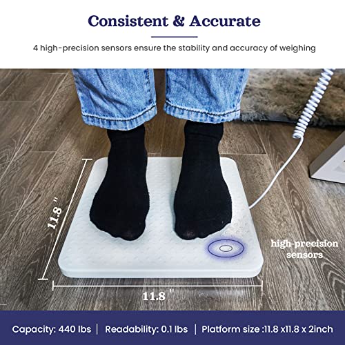 Tetuga Professional Medical Floor Scale, 440 lb High Capacity Digital Physician Scale, Accurate Healthcare Scale for Home Gym Office Use - WoodArtSupply