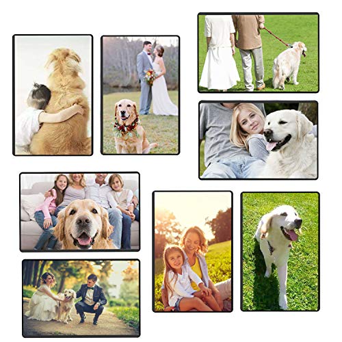 Magicfly Pack of 15 Magnetic Picture Frame with Clear Pocket, 4 x 6 Inches Refrigerator Photo Holder for Fridge Office Cabinet Locker, Black Magicfly