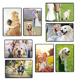 Magicfly Pack of 15 Magnetic Picture Frame with Clear Pocket, 4 x 6 Inches Refrigerator Photo Holder for Fridge Office Cabinet Locker, Black Magicfly