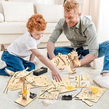 Dinosaur STEM Kits for Kids Ages 6-8-10-12, 4 in 1 Stem Projects, Wood Building Toys for Boys Age 8-12, Build It Yourself Woodworking Kit, DIY 3D Yutin