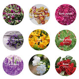 9 Bags Dried Flowers,100% Natural Dried Flowers Herbs Kit for Soap Making, DIY Candle Making,Bath - Include Rose Petals,Lavender,Don't Forget SACATR