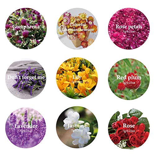 9 Bags Dried Flowers,100% Natural Dried Flowers Herbs Kit for Soap Making, DIY Candle Making,Bath - Include Rose Petals,Lavender,Don't Forget - WoodArtSupply