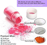 Mica Powder, 15 Colors Epoxy Resin Dye Set, SEISSO Natural Pigment Powders Dyes for Epoxy Resin/DIY Cosmetic/Soap/Paint/Nail Arts Polish/Soy Wax SEISSO