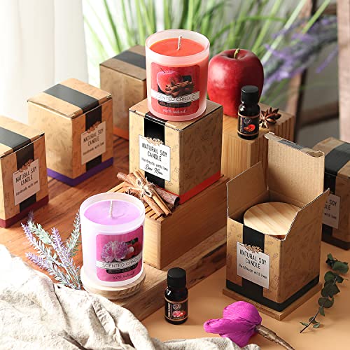 CraftZee Large Soy Candle Making Kit for Adults Beginners - Candle Making Kit Supplies Includes Soy Wax, Scents, Frosted Glass Jars, Wicks, Dyes,