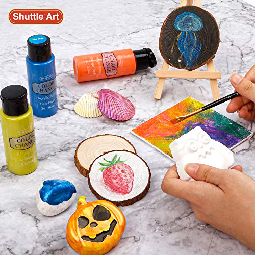 Shuttle Art Color Change Acrylic Paint Set, 16 Colors Chameleon Colors Acrylic Paint in Bottles (60ml/2oz), Non-Toxic for Artists, Beginners and Kids Shuttle Art