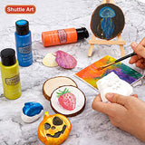 Shuttle Art Color Change Acrylic Paint Set, 16 Colors Chameleon Colors Acrylic Paint in Bottles (60ml/2oz), Non-Toxic for Artists, Beginners and Kids Shuttle Art